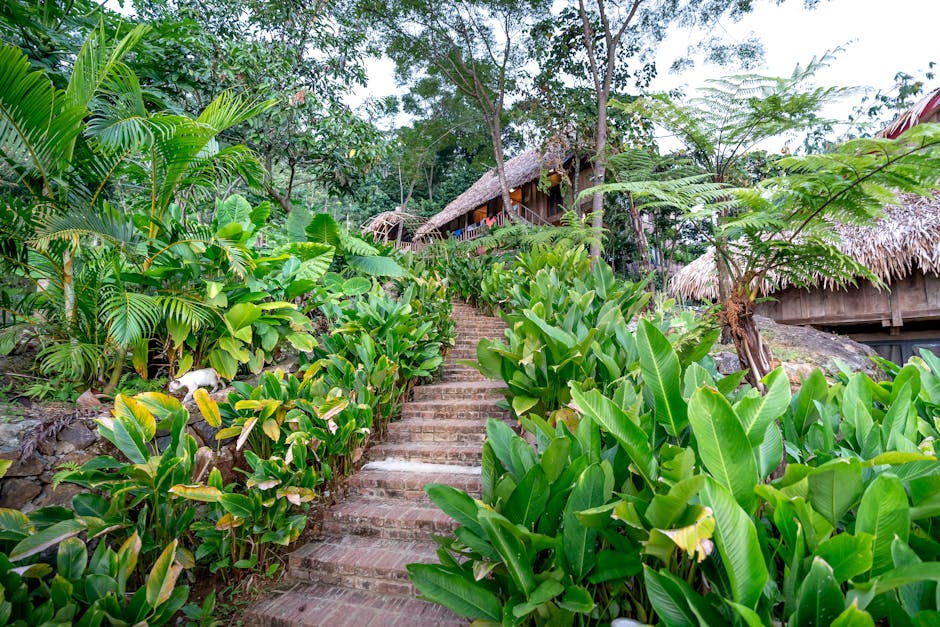 Jhon-Duran8217in-Sasirtici-Transfer-Hikayesi-24-Kulup-Arasindan-Villa8217ya-Giden-Yol-featured