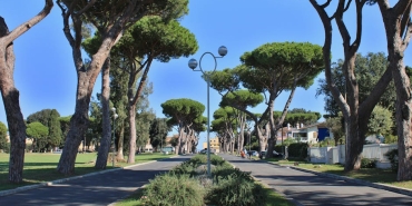 Sergen-Yalcin-Adana-Demirspor-Deplasmaninda-Yok-featured