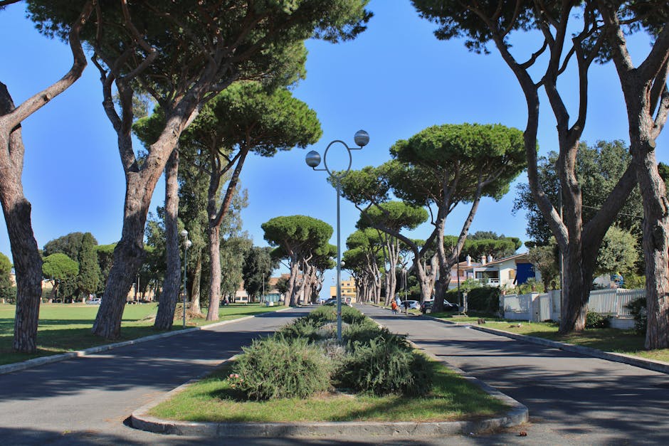 Sergen-Yalcin-Adana-Demirspor-Deplasmaninda-Yok-featured