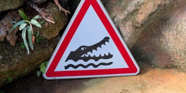 Sergen-Yalcin8217dan-Cenk-Tosun8217a-Performans-Uyarisi-featured