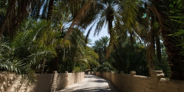 Al-Ain8217de-Sok-Ayrilik-Crespo-Gitti-Schreuder-Geldi-featured